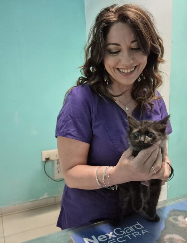 visita veterinaria gatto