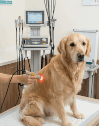 laserterapia-positano