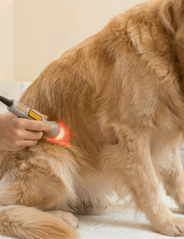 laserterapia-sorrento