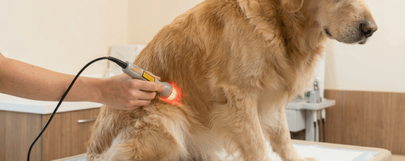 laserterapia-sorrento